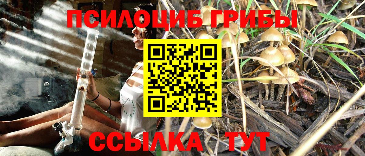Чебоксары  Галлюциногенные грибы MAGIC MUSHROOMS  Вход с VPN 
